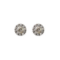 Miss Sofia earrings - Crystal