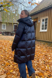 Nova Metallic Down Jacket