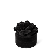 Day Velvet Flower Jewelry Round