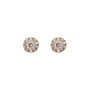 Miss Sofia earrings - Crystal